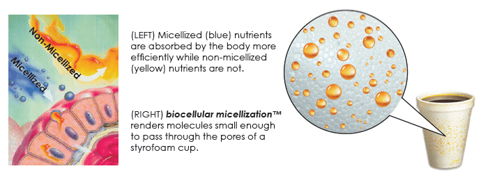 Biocellular Micellization