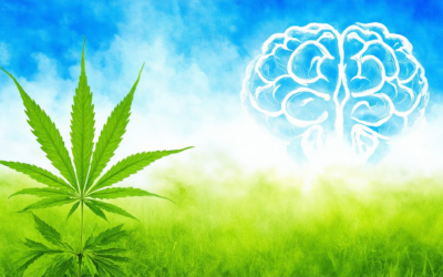 Elevate Your Wellness Journey with Youngevity Hemp FX: Discover Its Benefits and Applications
